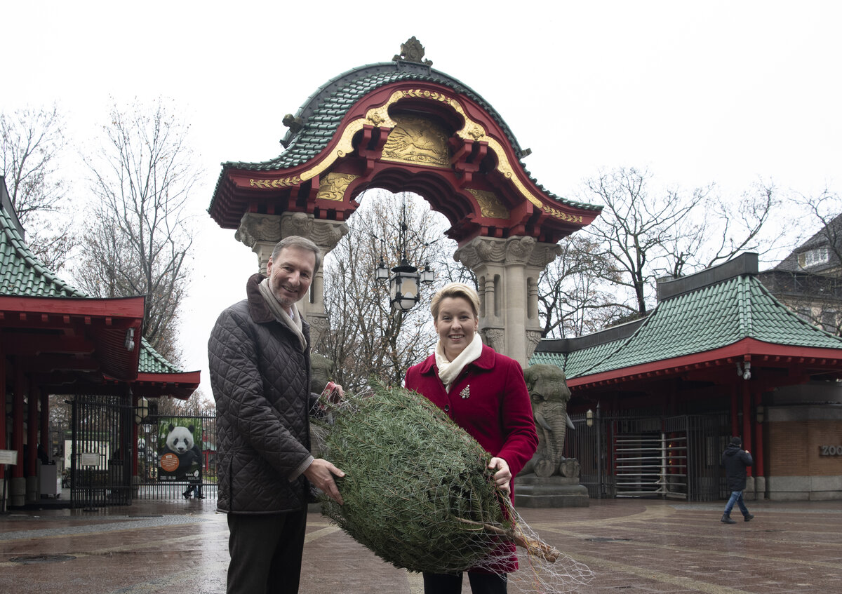 O Tannenbaum, O Tannenbaum Zoo Berlin